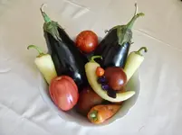 CIMG9986.webp