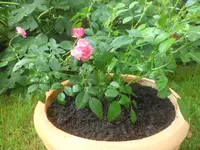 SAM_2048.webp