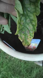 2013-08-17 17.38.38.webp