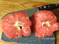 Roter Kürbis.webp