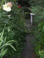 HPIM0016.webp