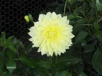 HPIM0026.webp