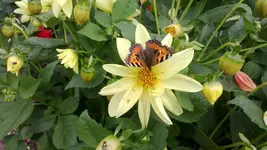 WP_20130819_002.webp