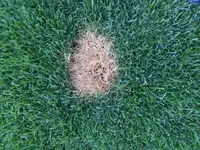 20130820_063725.webp
