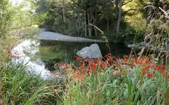 wildes (8)v.webp