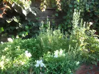 SAM_2050.webp