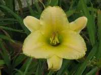 touch the light3_1024x768.webp