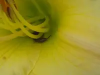 002_1024x768.webp