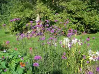 011.webp