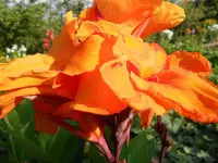 DSCN0919.webp