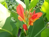 DSCN0921.webp