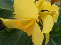 DSCN0922.webp