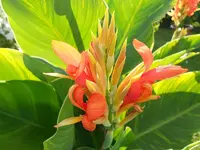 DSCN0923.webp