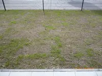 P1010364.webp