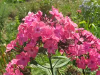 008_1024x768.webp