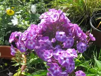 010_1024x768.webp