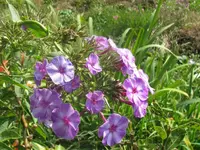 011_1024x768.webp