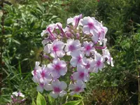 013_1024x768.webp