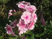 018_1024x768.webp