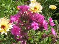 019_1024x768.webp