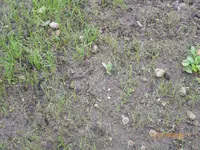 P1010360.webp