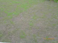 P1010358.webp