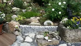Gartenmauer.webp