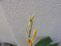 008.webp