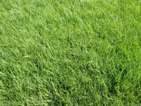 Foto 1.webp