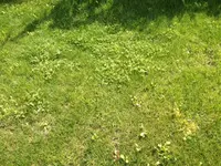 Foto 2.webp