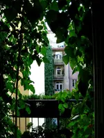 IMG_4894.webp