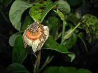 Copy of Januar 2010 871v.webp