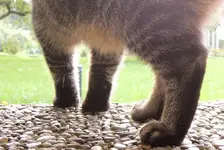 BkdW.webp