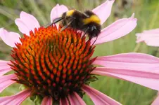 2013_0820Sommer0030.webp