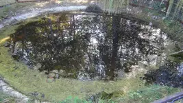 DSC00608.JPG