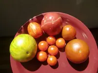 CIMG0241.webp