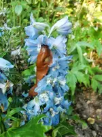 CIMG0149.webp