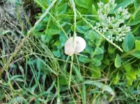 CIMG0152.webp