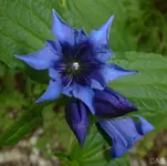 P1020790.webp
