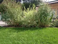 Foto 2.webp