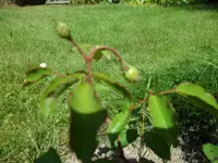 SAM_2059.webp