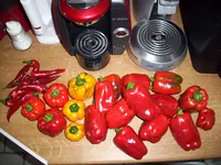 100_1153.webp