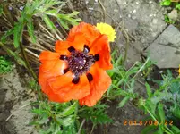august18 003.webp