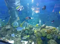 20130327_135417.webp