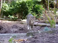 3AugustBegehung.webp
