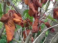 20130823_162350.webp