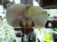 DSCF6976.webp