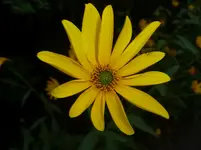 P1080448.webp