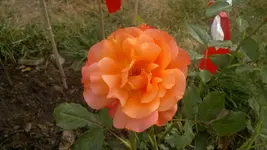 2013-08-23-3147.webp