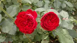 2013-08-23-3160.webp